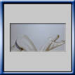 Nude Eleganze (2019)