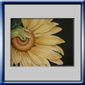 Girasole (2012)