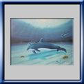 Oceano (2006)