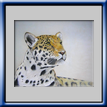 Leopardo (2009)